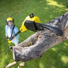 Best Commercial Tree Services  in Weston, WV